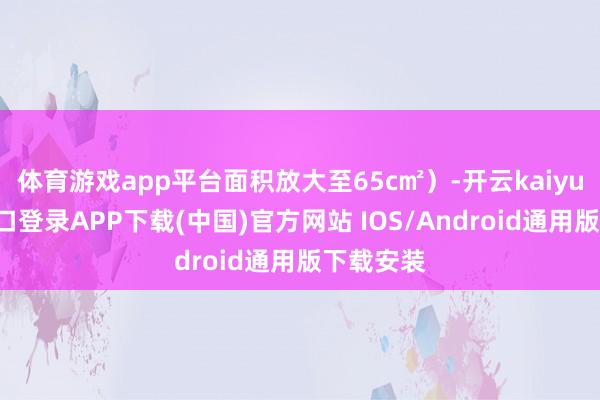 體育游戲app平臺面積放大至65c㎡）-開云kaiyun登錄入口登錄APP下載(中國)官方網站 IOS/Android通用版下載安裝