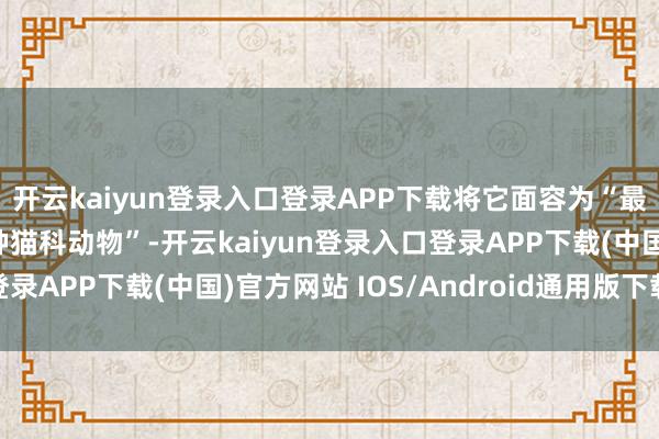 開云kaiyun登錄入口登錄APP下載將它面容為“最不為東說念主知的一種貓科動物”-開云kaiyun登錄入口登錄APP下載(中國)官方網站 IOS/Android通用版下載安裝